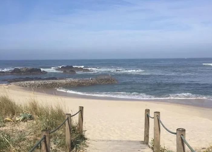 Hill & House 비아나도카스텔로